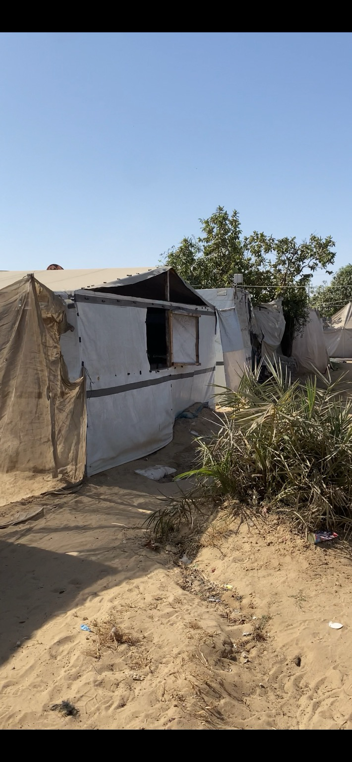 Sorry, no caption provided by author